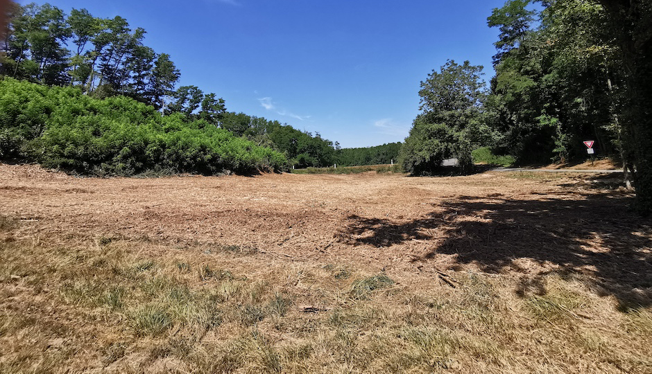 Reboisement parcelle privée Défrichage terrain avant construction